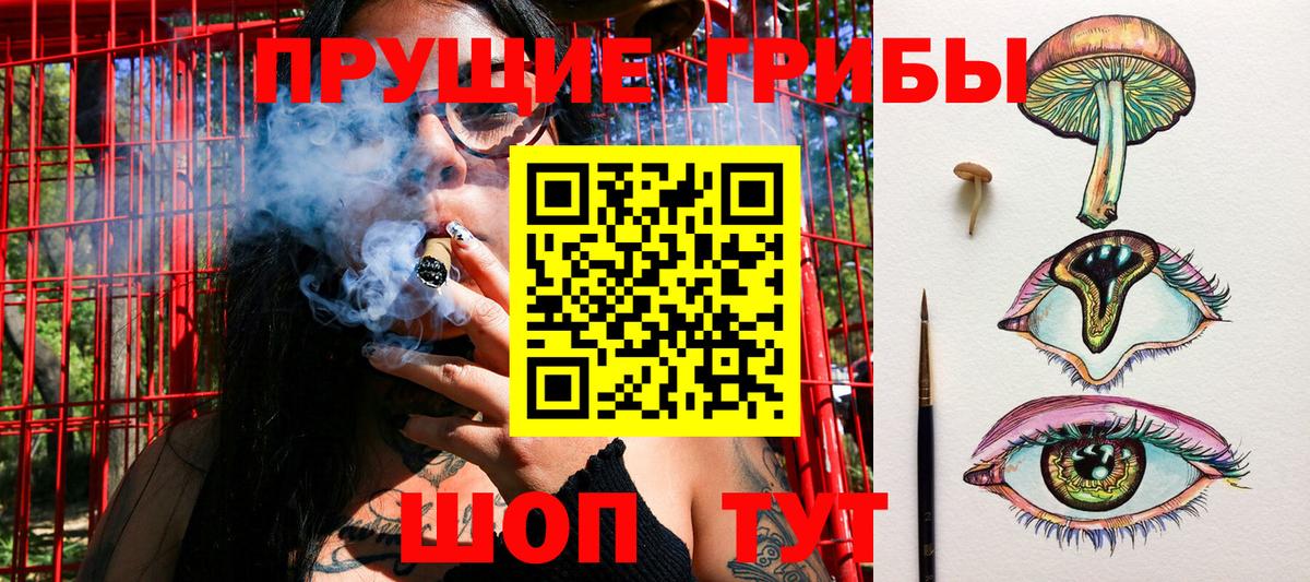 Заречный  Галлюциногенные грибы мицелий  Вход с VPN 