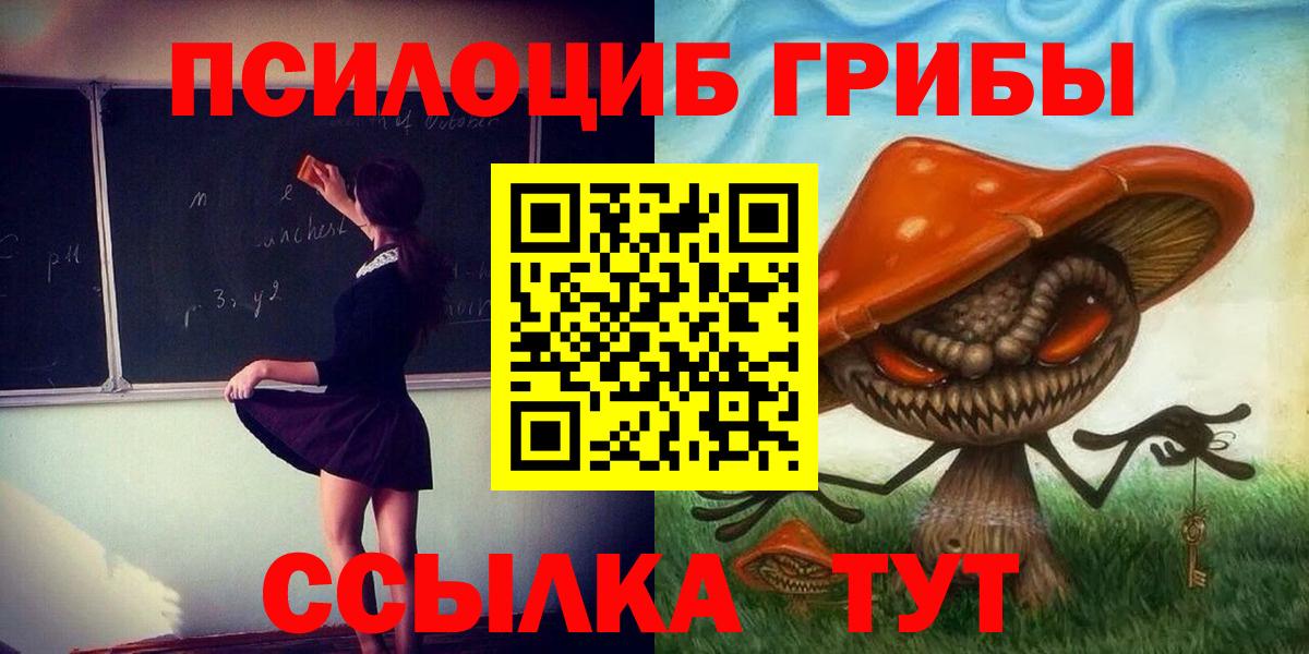 Псилоцибиновые грибы Psilocybe Заречный