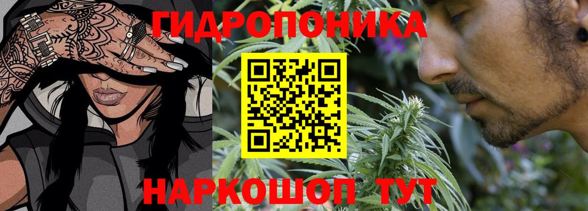 Шишки марихуана марихуана Заречный
